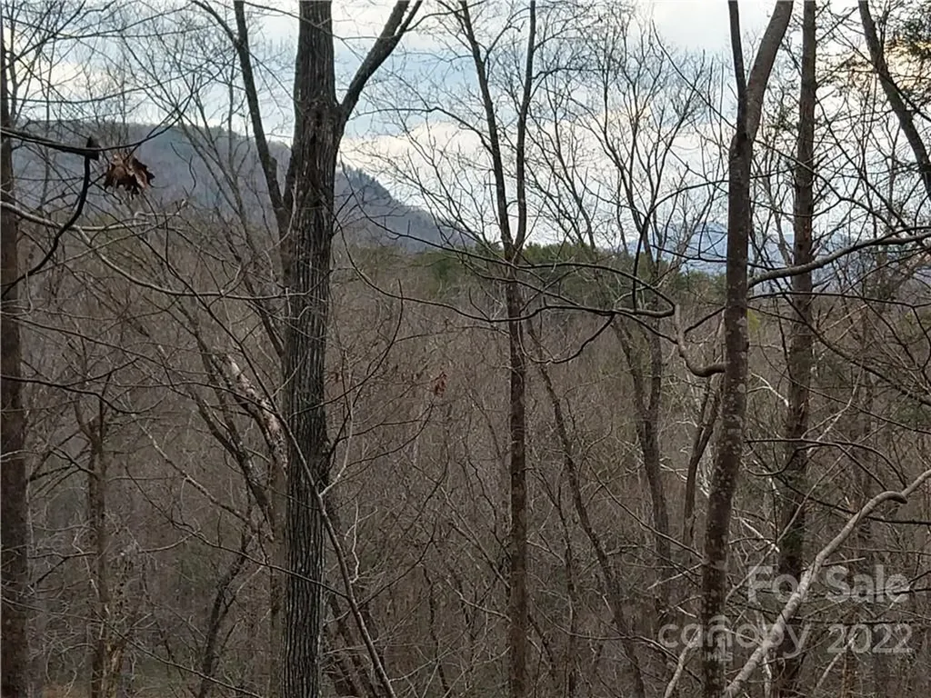 Lots 94 & 95 Rock Spring Road Lake Lure NC 28746