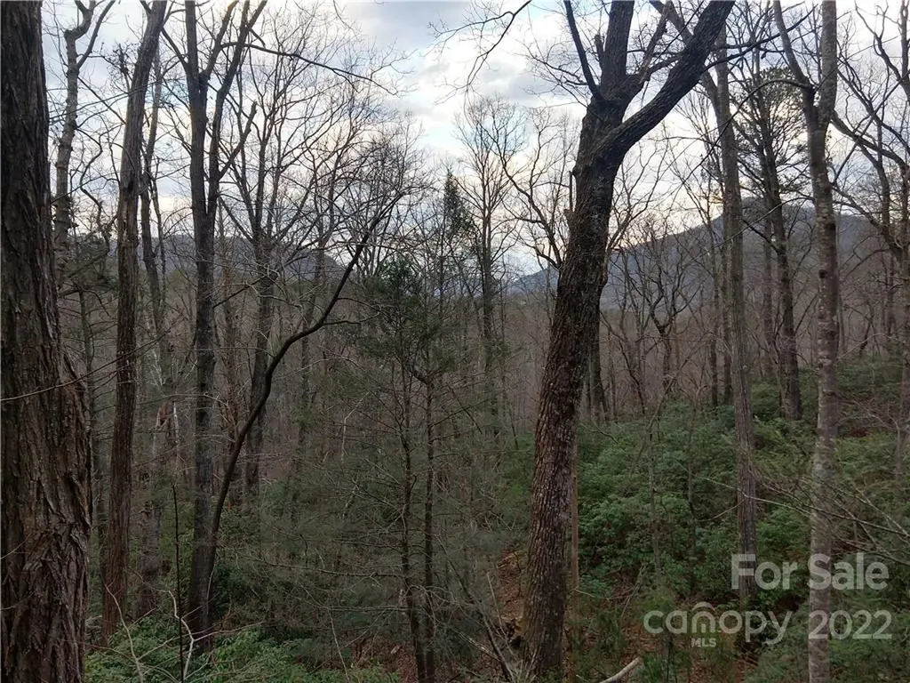 Lots 94 & 95 Rock Spring Road Lake Lure NC 28746