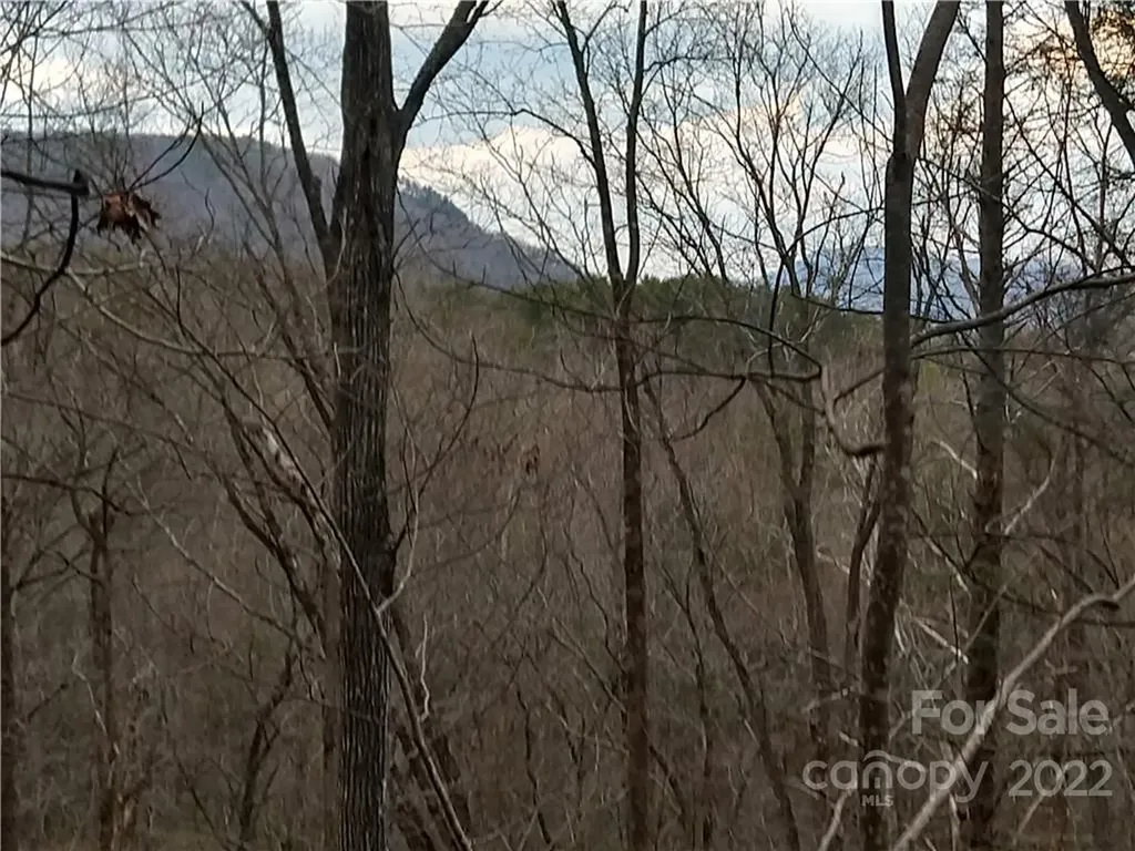 Lots 94 & 95 Rock Spring Road Lake Lure NC 28746