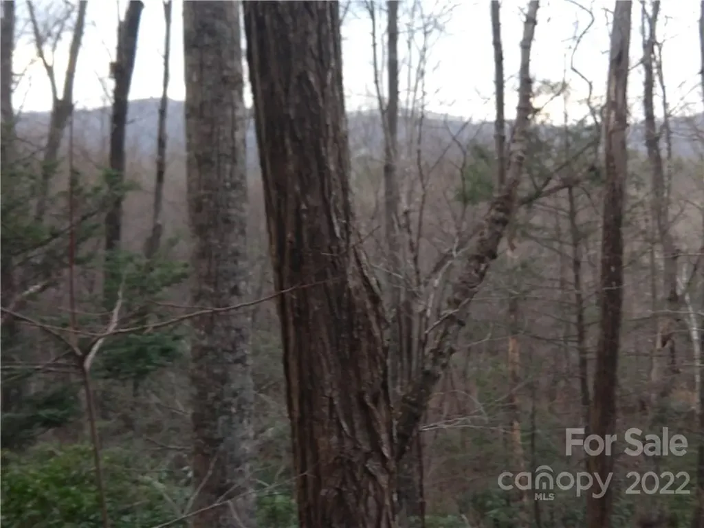 Lots 94 & 95 Rock Spring Road Lake Lure NC 28746