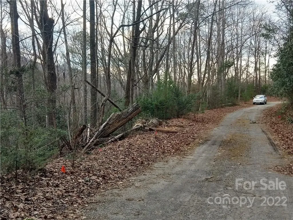 Lots 94 & 95 Rock Spring Road Lake Lure NC 28746