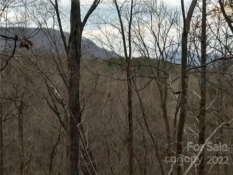 Lots 94 & 95 Rock Spring Road Lake Lure NC 28746