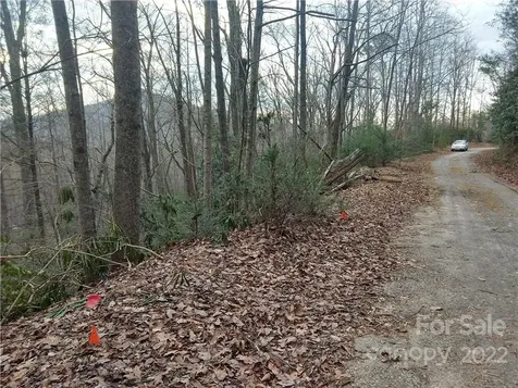 Lots 94 & 95 Rock Spring Road Lake Lure NC 28746