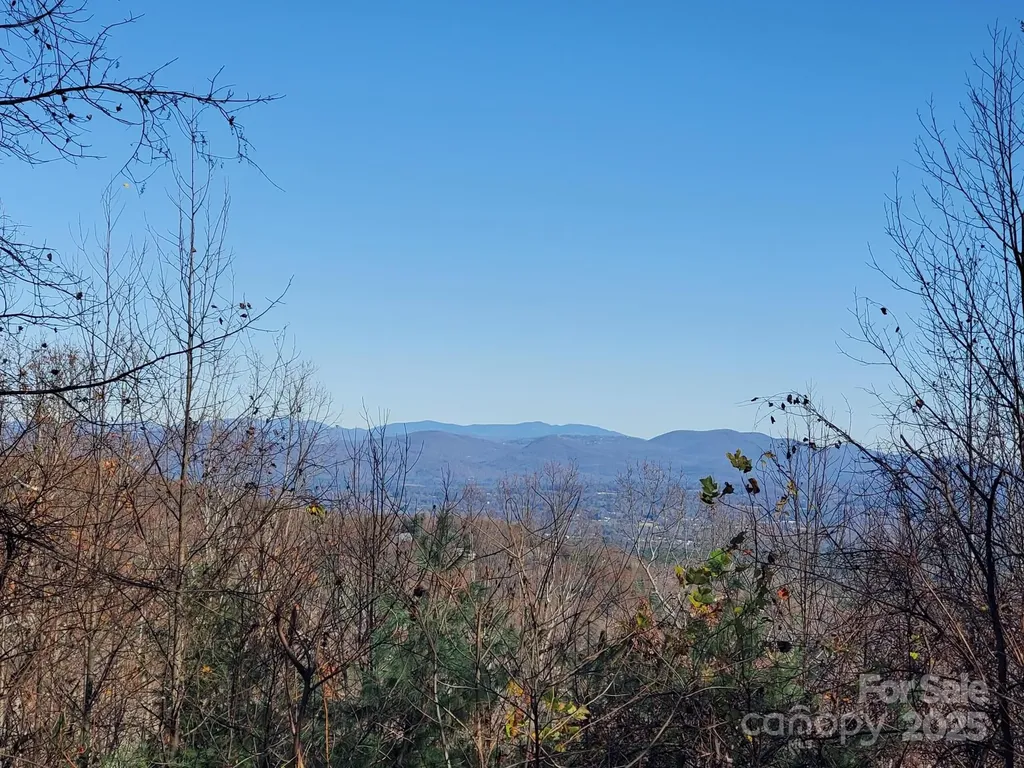 103 Berry Creek Drive Flat Rock NC 28731