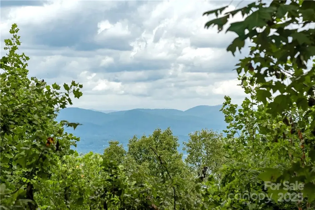 103 Berry Creek Drive Flat Rock NC 28731