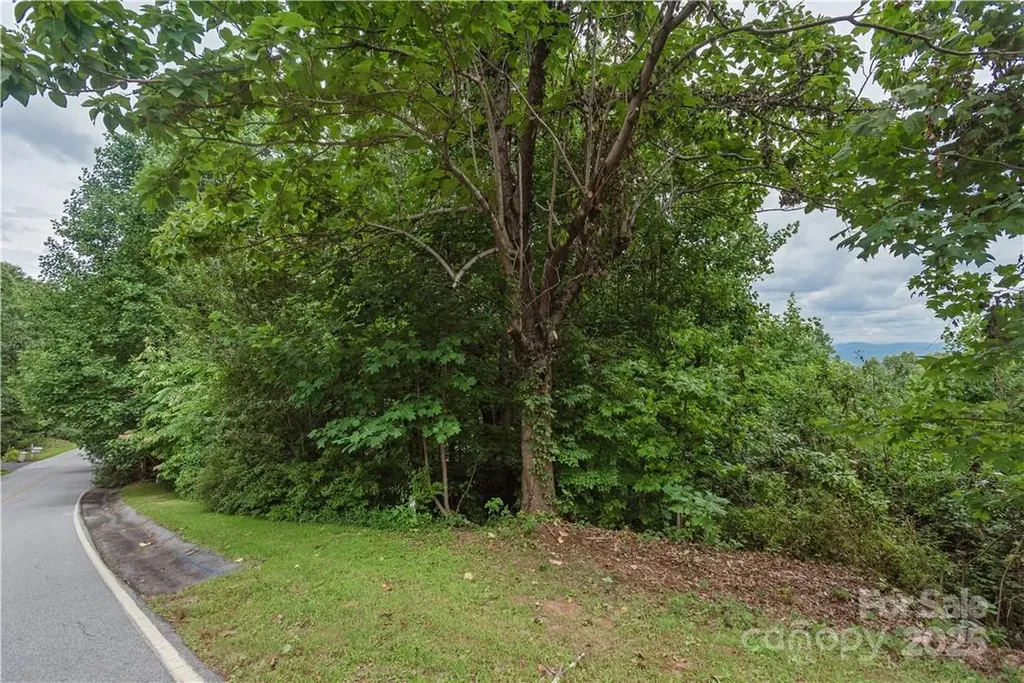 103 Berry Creek Drive Flat Rock NC 28731