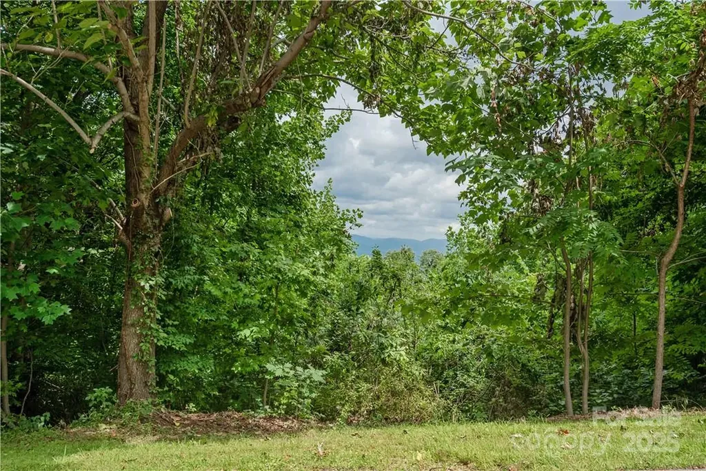 103 Berry Creek Drive Flat Rock NC 28731