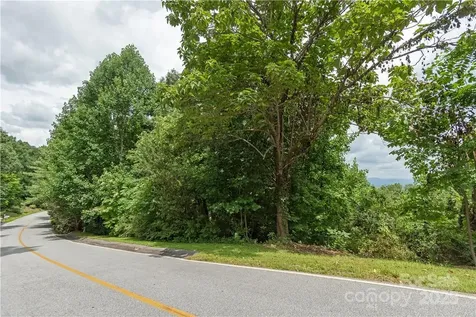 103 Berry Creek Drive Flat Rock NC 28731
