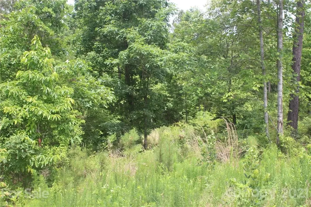 1826 Lake Vista Drive NE Connelly Springs NC 28612