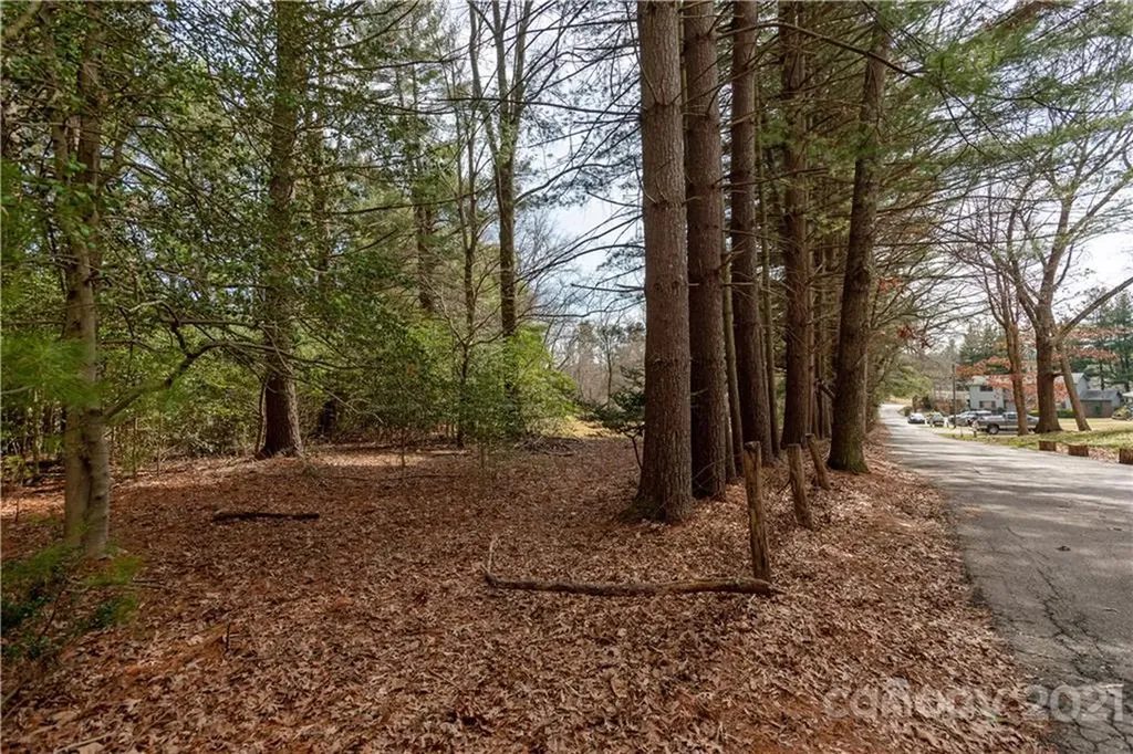 93 & 95 Springside Road Asheville NC 28803