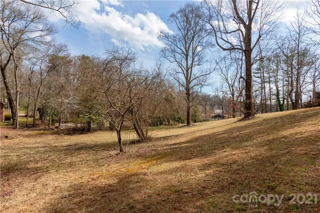 93 & 95 Springside Road Asheville NC 28803