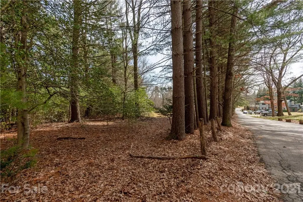 93 & 95 Springside Road Asheville NC 28803
