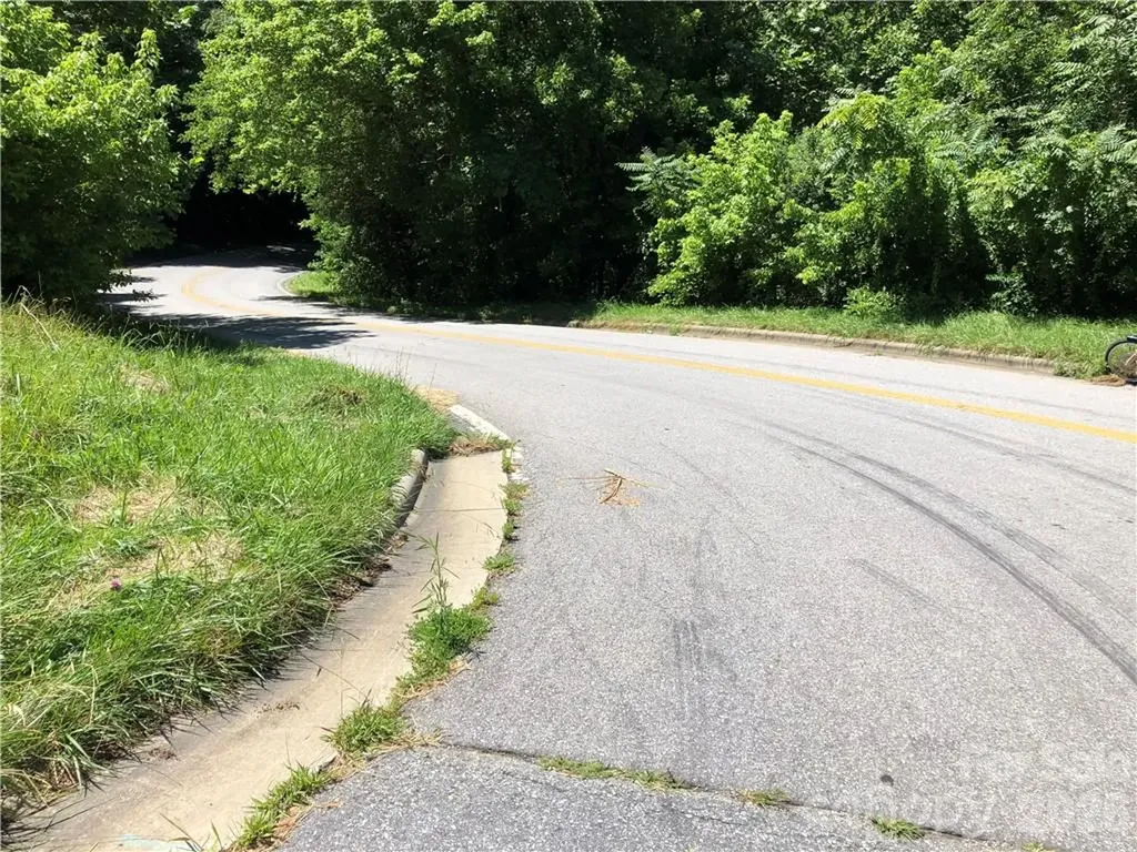 10 Acres Charlotte Highway Asheville NC 28803