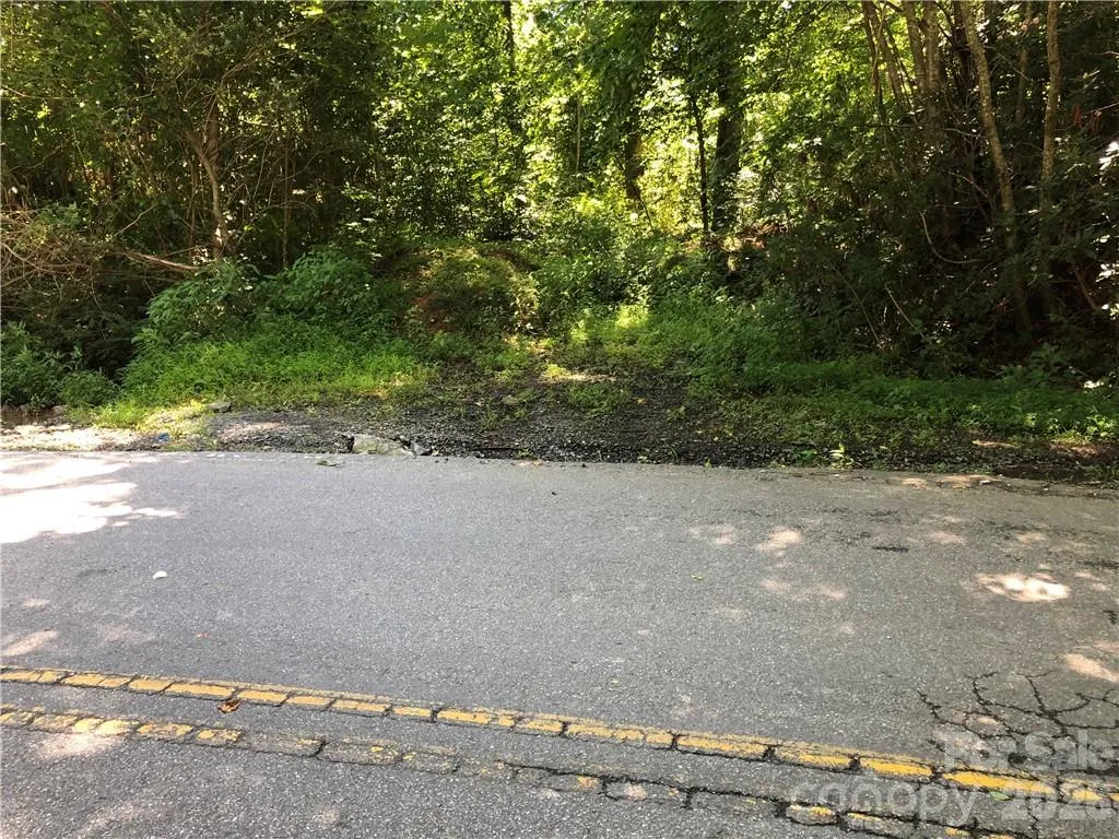 10 Acres Charlotte Highway Asheville NC 28803