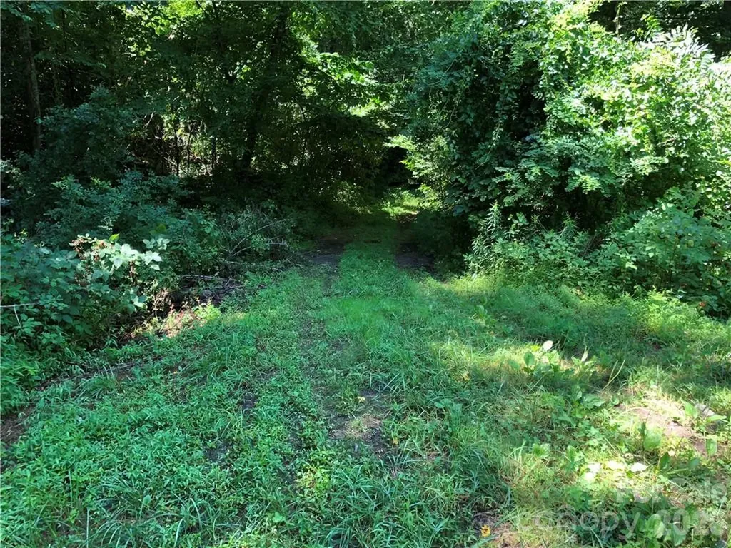 10 Acres Charlotte Highway Asheville NC 28803