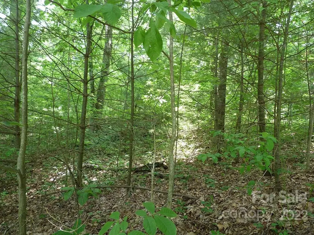 201 Bent Pine Trace Hendersonville NC 28739