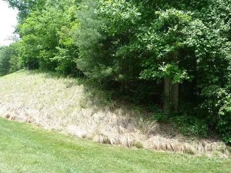 201 Bent Pine Trace Hendersonville NC 28739