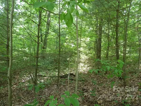 201 Bent Pine Trace Hendersonville NC 28739