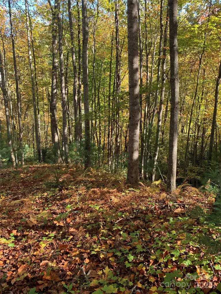 Lot# 556 Timber Rock Drive Lenoir NC 28645