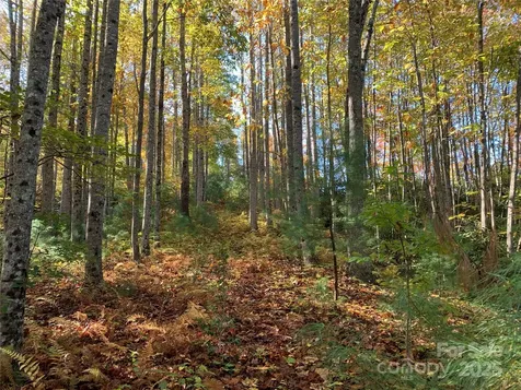 Lot# 556 Timber Rock Drive Lenoir NC 28645