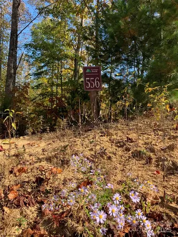 Lot# 556 Timber Rock Drive Lenoir NC 28645