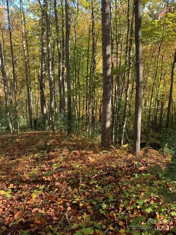 Lot# 556 Timber Rock Drive Lenoir NC 28645