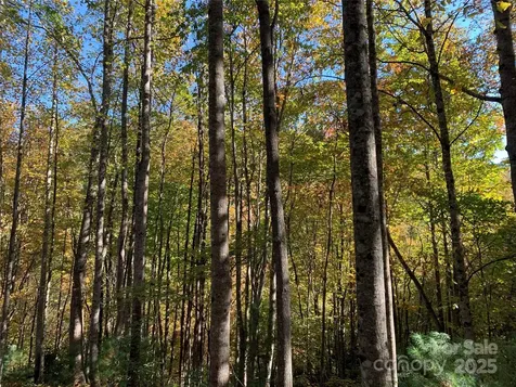 Lot# 556 Timber Rock Drive Lenoir NC 28645