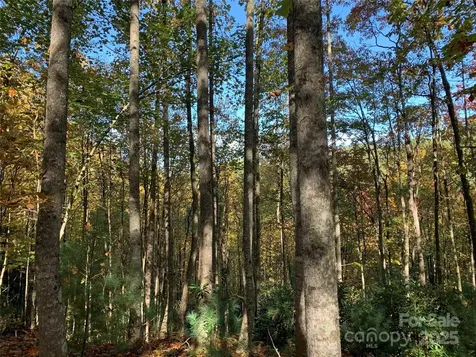 Lot# 556 Timber Rock Drive Lenoir NC 28645