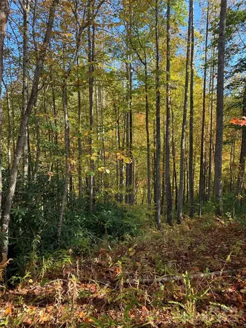 Lot# 556 Timber Rock Drive Lenoir NC 28645