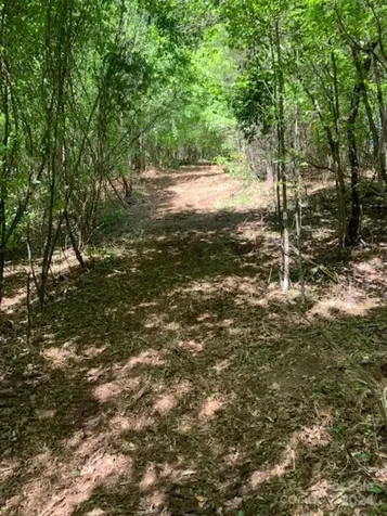 0000 Hwy 557 Highway Clover SC 29710