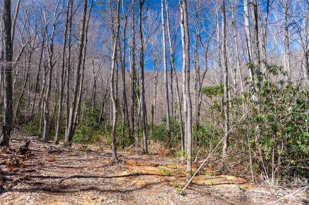 99 Banjo Branch Road Burnsville NC 28714