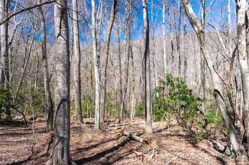 99 Banjo Branch Road Burnsville NC 28714