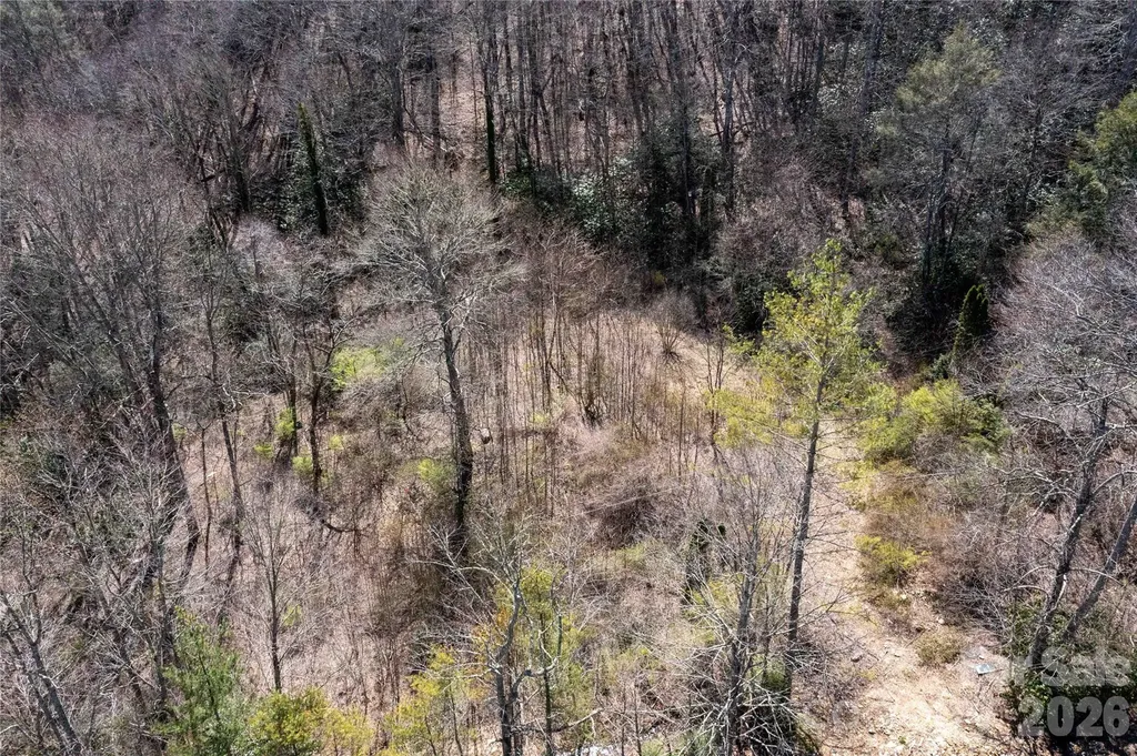 99 Banjo Branch Road Burnsville NC 28714