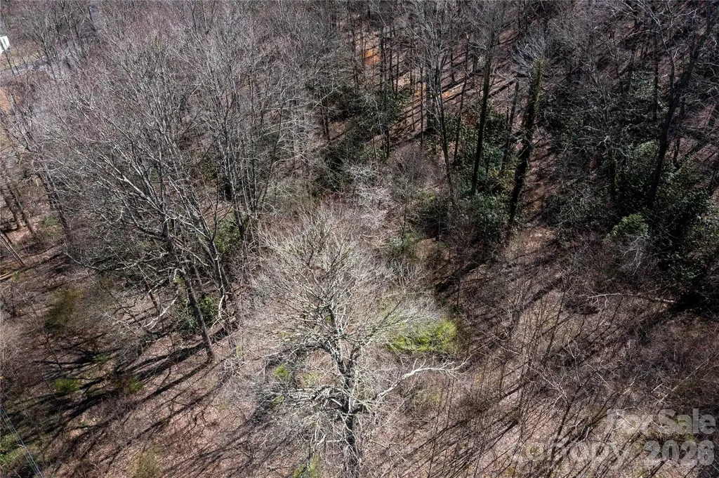 99 Banjo Branch Road Burnsville NC 28714