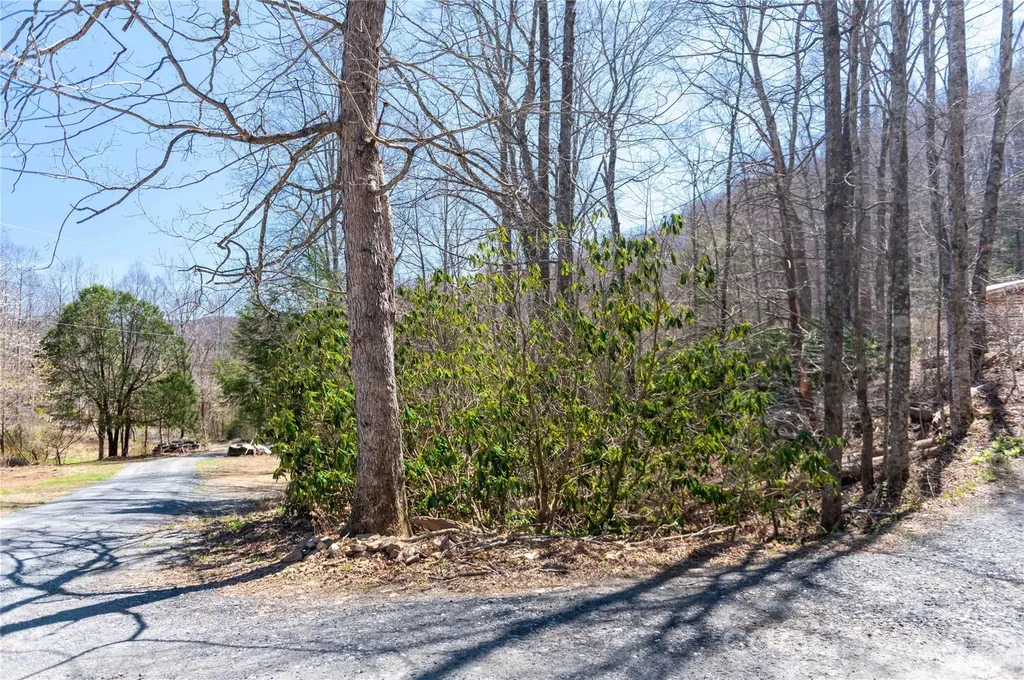 99 Banjo Branch Road Burnsville NC 28714