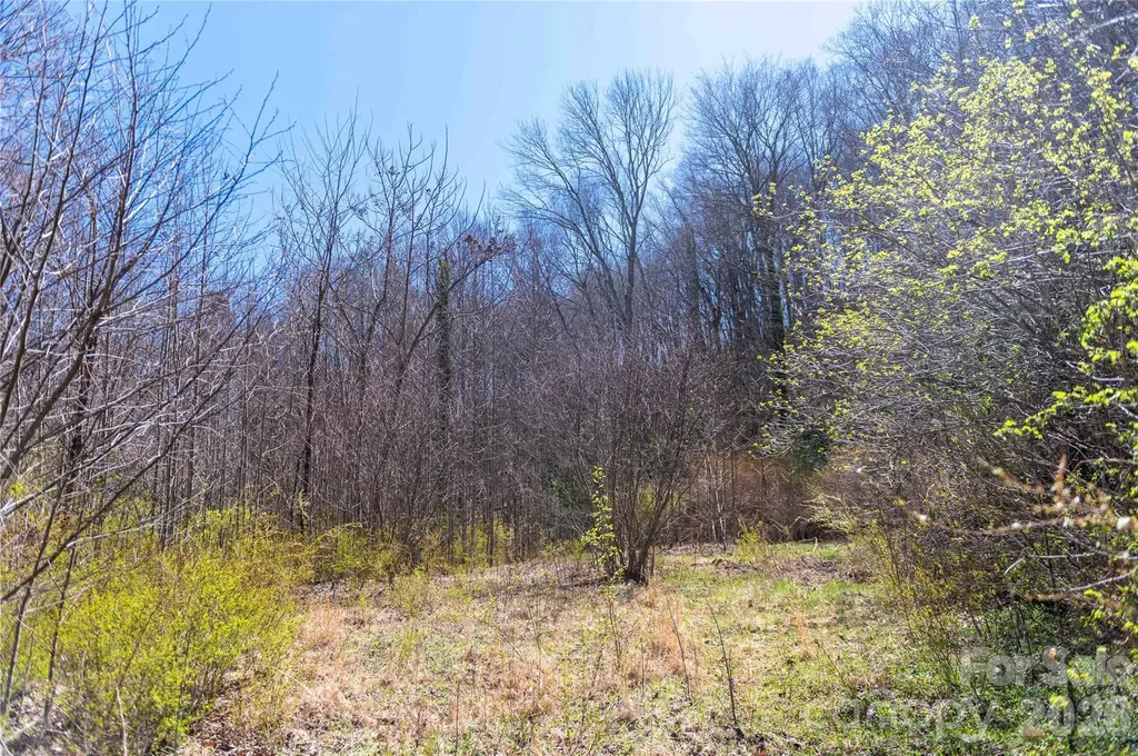 99 Banjo Branch Road Burnsville NC 28714