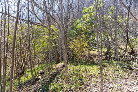 99 Banjo Branch Road Burnsville NC 28714