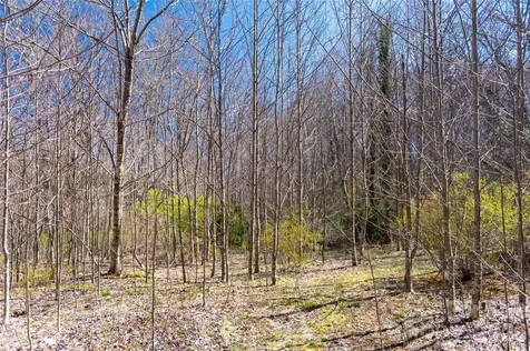 99 Banjo Branch Road Burnsville NC 28714