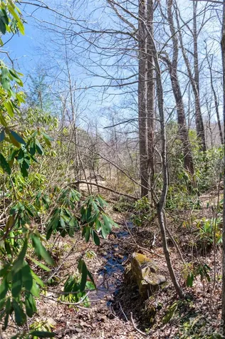 99 Banjo Branch Road Burnsville NC 28714