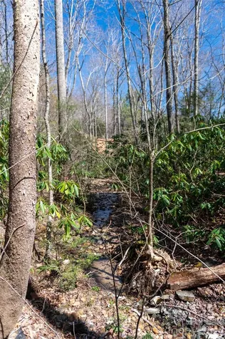 99 Banjo Branch Road Burnsville NC 28714