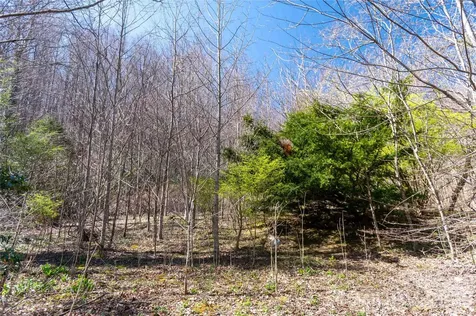 99 Banjo Branch Road Burnsville NC 28714