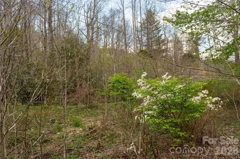 99 Banjo Branch Road Burnsville NC 28714