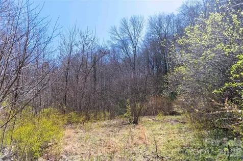 99 Banjo Branch Road Burnsville NC 28714