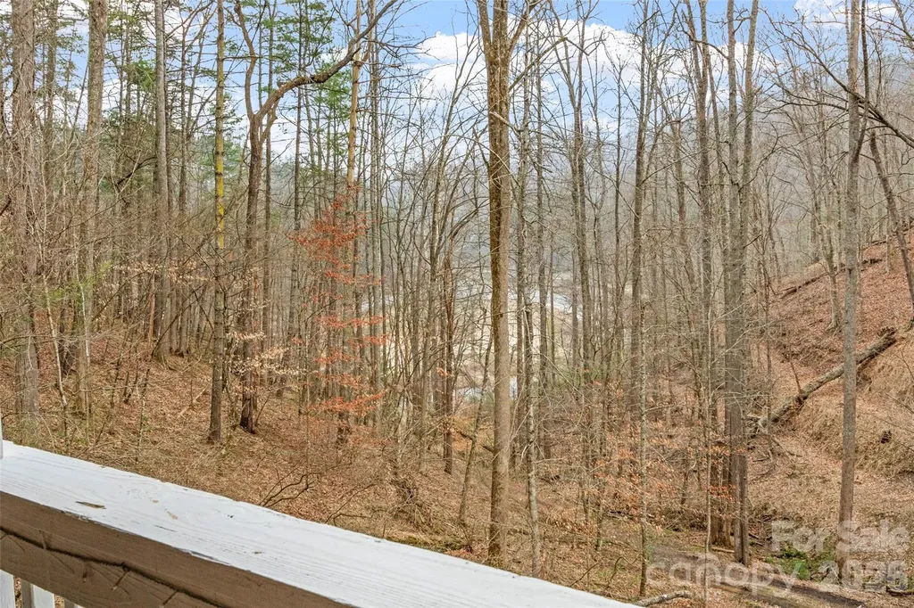 2701 Roses Branch Road Bakersville NC 28705