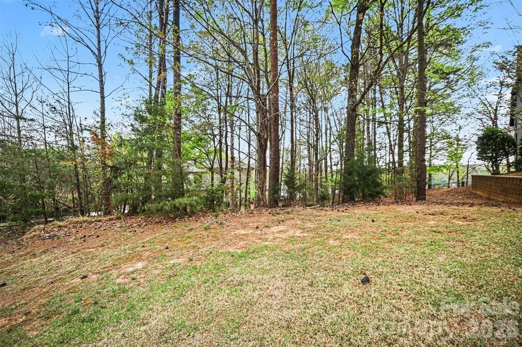 3217 Lake Pointe Drive Belmont NC 28173