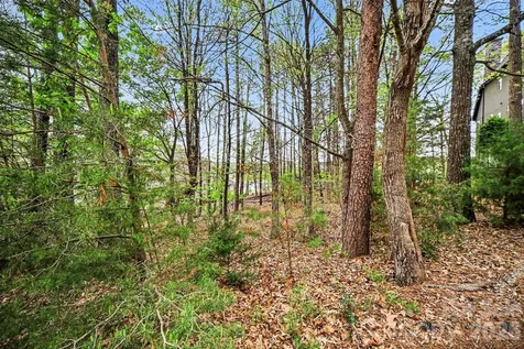 3217 Lake Pointe Drive Belmont NC 28173