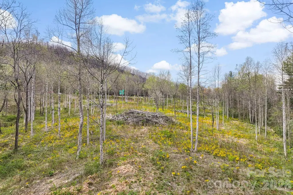 110 Laurel Acres Lane Flat Rock NC 28731