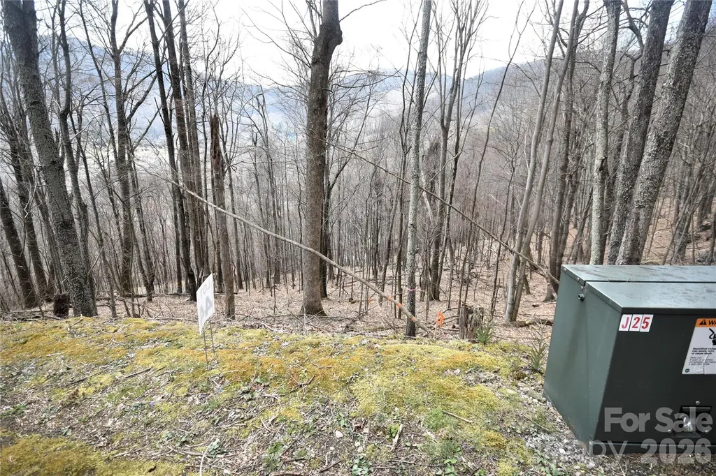 44 Prosperity Ridge Waynesville NC 28785