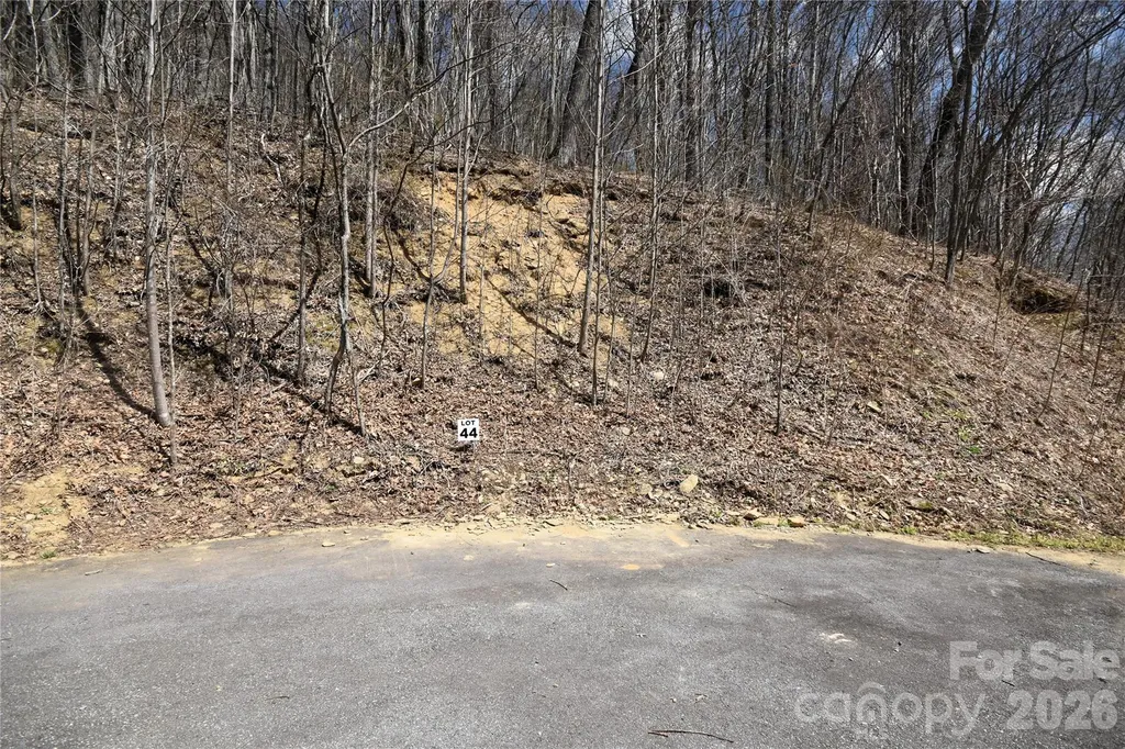 44 Prosperity Ridge Waynesville NC 28785