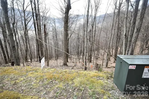 44 Prosperity Ridge Waynesville NC 28785